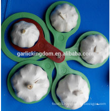 Sell White Garlic/Fresh white garlic/Garlic china